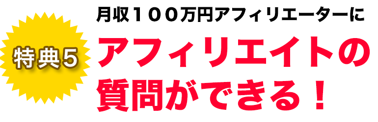 特典5 月収１００万円のアフィリエーターにアフィリエイトの質問ができる！
